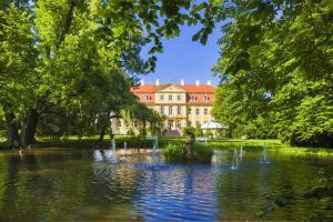 ein Gebäude inmitten eines Sees mit einem Brunnen in der Unterkunft Barockschloss Rammenau in Rammenau