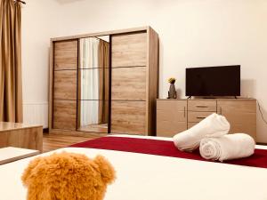 a bedroom with a large bed and a television at Joy City Stay Paris 5&6 in Timişoara