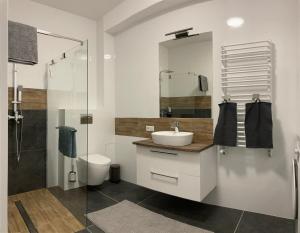 y baño con lavabo, ducha y aseo. en Ostseenahe Erholung Ruhe Komfort in Kleinstadt en Kamień Pomorski