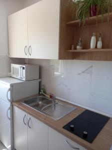 Kuchyň nebo kuchyňský kout v ubytování Studio Apartmani “Jarnečić”