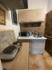 eine kleine Küche mit einer Spüle und einer Mikrowelle in der Unterkunft Studio Colonial in Rumburk
