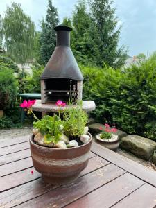 Zahrada ubytování Studio Colonial