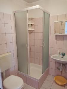 a bathroom with a shower and a toilet and a sink at Apartments Radonic in Hvar