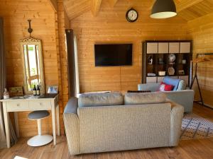 a living room with a couch and a tv at Modern Summerhouse in Lymington