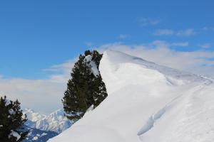 Apart Alpin Oetztal v zimě