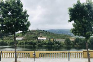 una casa en la cima de una colina junto a un río en Casa do Adro- Douro, en Peso da Régua