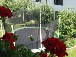 a net in a garden with red flowers at Vila Deni in Bran