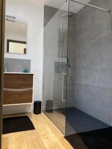 La salle de bains est pourvue d'une douche avec une porte en verre. dans l'établissement Résidence les biches, à Xonrupt-Longemer