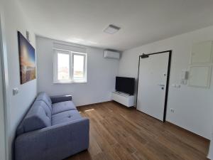 Televízia a/alebo spoločenská miestnosť v ubytovaní Apartmani Adria
