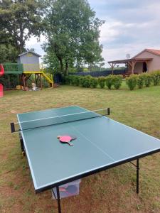 una mesa de ping pong en un patio con parque infantil en Guest house Flora en Pazin