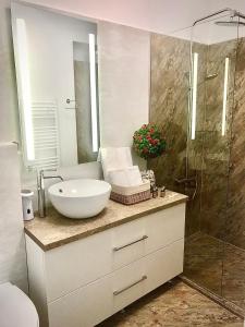 Reea`s Apartment in Sibiu tesisinde bir banyo