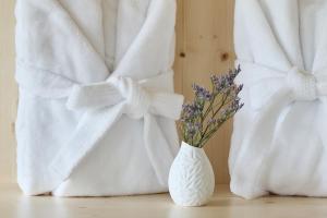 Fotografija u galeriji objekta Hotel Klausenpass u gradu Unterschächen