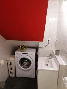 y baño con lavadora y lavamanos. en Apartment Borna, en Pazin