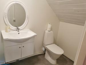 uma casa de banho com um lavatório, um WC e um espelho. em Molle Annexet -Lantlig Gastsvit i Rolfstorp em Rolfstorp