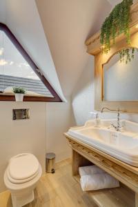 小靜的住宿－Domki Małe Ciche，一间带水槽和卫生间的浴室