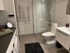 Koupelna v ubytování Sälenfjällen lägenhet