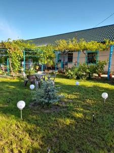 a yard with a table and mushrooms in the grass at Casa Anhela in Corbu