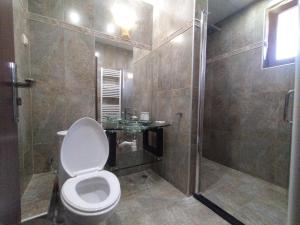 a bathroom with a toilet and a shower at Вила Магдалена, к-с Александриа in Dobrinishte