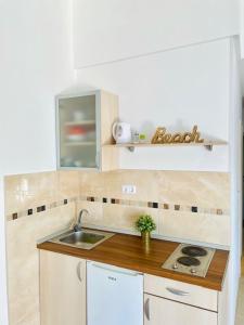 A kitchen or kitchenette at Apartments Bora
