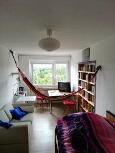 弗莱堡维格森布里克奥特捷恩酒店的客房中间设有吊床