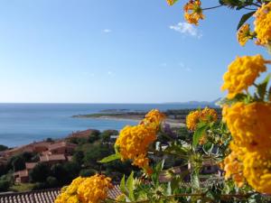 a bunch of yellow flowers with the ocean in the background at Le Residenze di Porto Corallo in Villaputzu