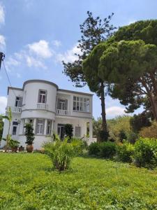 a white house with a tree in the yard at Tower Traditional Pool Villa in Kremasti