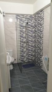 a bathroom with a shower with a toilet and a sink at Apartments Prima in Ohrid +15 photos