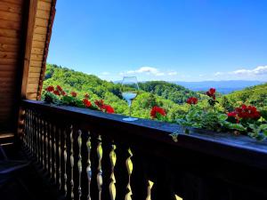 Paesaggio naturale nelle vicinanze dell'hotel