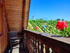 Balcone o terrazza di Weingut Winzerzimmer Rothschädl