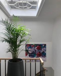 Fotografia z galérie ubytovania Galerie Suites v destinácii Mariánské Lázně