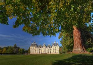 a large building with a tree in the foreground at Golf Hotel de la Carte in Chouzy-sur-Cisse