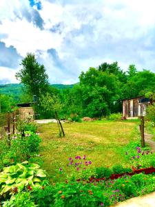 um campo de relva com flores e um velho galpão em Guesthouse D&D em Ličko Petrovo Selo