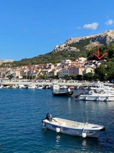 Naturlandskabet i nærheden af lejligheden