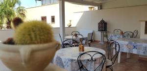 Gallery image of Mariposa B&B in San Vito lo Capo