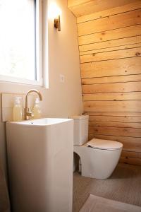 La salle de bains est pourvue de toilettes et d'un lavabo. dans l'établissement Bain de forêt - Lodges Cosy & Spa, à Neufchâtel-Hardelot