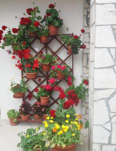 Giardino di Apartments Beka