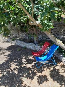 Zahrada ubytování Casa nel Vigneto Erice
