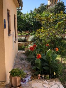 un giardino fiorito e un vialetto accanto a un edificio di Apartman Slavko a Pridraga