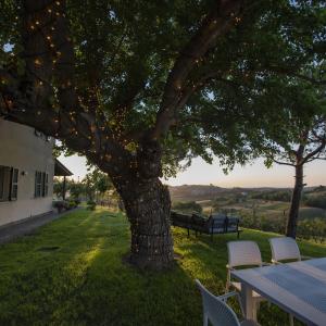 a table and chairs under a tree in a field at Il Mandorlo - Agriturismo e Azienda Agricola Ferrato in Ancona