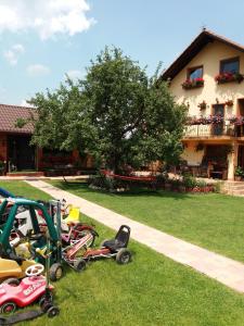 a group of childrens toys in the grass in front of a house at Vila Deni in Bran