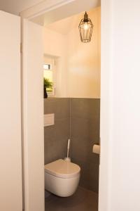 een badkamer met een toilet en een hanglamp bij Zeitlos in Bodenmais