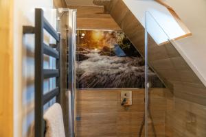 Koupelna v ubytování Apartament Chateau Karpielówka Kościelisko