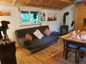 salon z kanapą i stołem w obiekcie Agroturystyka Camping w Orzyszu