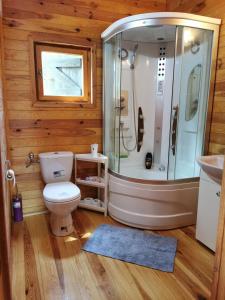 a bathroom with a shower and a toilet and a sink at Domek na wsi nad jeziorem , prywatny staw in Kamieńczyk Dezerta