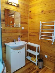 La salle de bains est pourvue d'un lavabo et d'un miroir. dans l'établissement Domek na wsi nad jeziorem , prywatny staw, à Kamieńczyk Dezerta