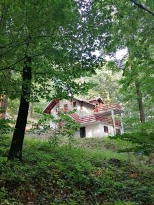 a house sitting in the middle of a forest at Planinska kuća Bukulja in Arandjelovac