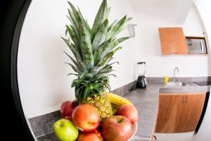 Kuchyň nebo kuchyňský kout v ubytování Maui Hostels Playa del Carmen