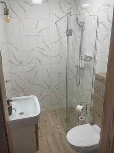 a bathroom with a shower and a toilet and a sink at Urocze Apartamenty LOFT przy Molo in Chłopy