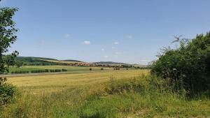 un campo de hierba con una carretera en la distancia en Ferienhaus Deubetal Nr.10, en Stadtilm