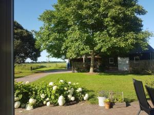 A garden outside Ermerhoek, in de Hof